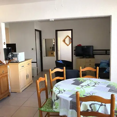 Grand T3 A 100m Des Commerces, Et Piscine, 6 Couchages, Parking Facile - Fr-1-81-507 *