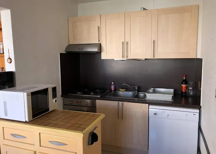 Grand T3 A 100m Des Commerces, Et Piscine, 6 Couchages, Parking Facile - Fr-1-81-507 Διαμέρισμα *